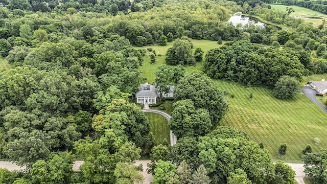 7366 Jennings Rd, Whitmore Lake, MI 48189 - photo 89