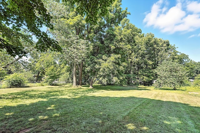 121 Adams St, Allegan, MI 49010 - photo 39