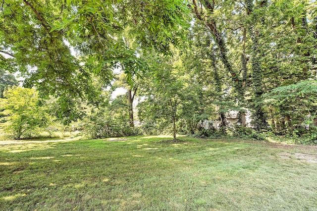 121 Adams St, Allegan, MI 49010 - photo 43