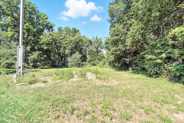 121 Adams St, Allegan, MI 49010 - photo 44