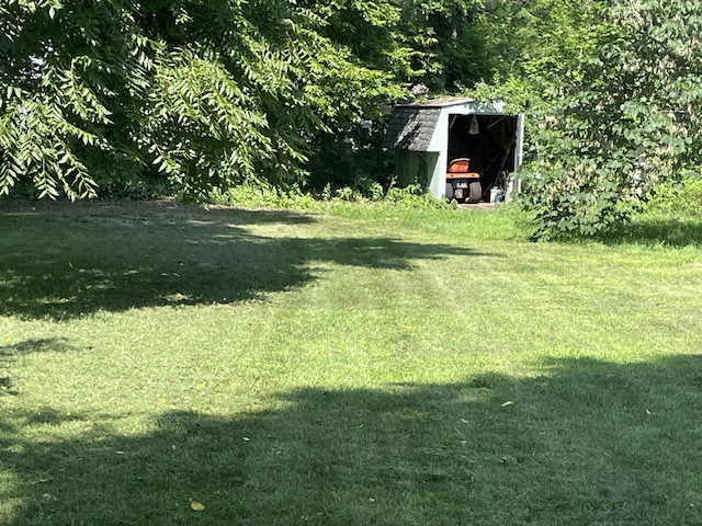 121 Adams St, Allegan, MI 49010 - photo 49