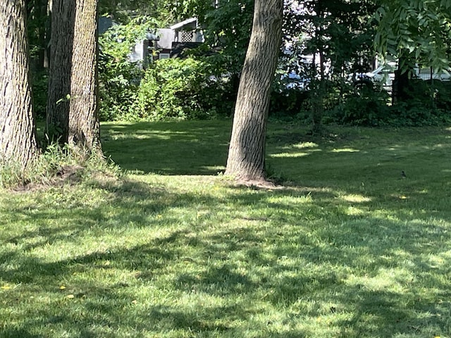 121 Adams St, Allegan, MI 49010 - photo 50
