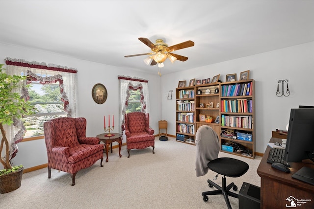 14481 Dixon Rd, Dundee, MI 48131 - photo 30
