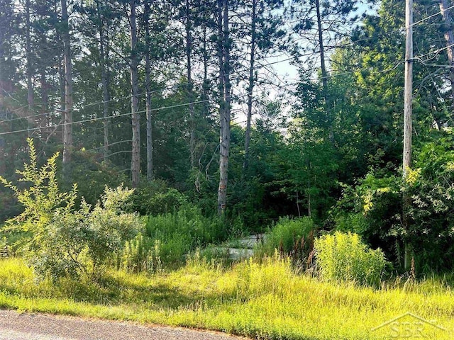 940 W Ingham Rd, Sanford, MI 48657 - photo 1