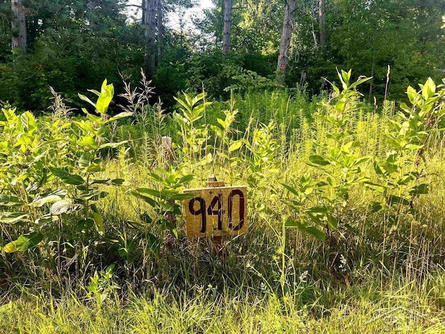 940 W Ingham Rd, Sanford, MI 48657 - photo 2
