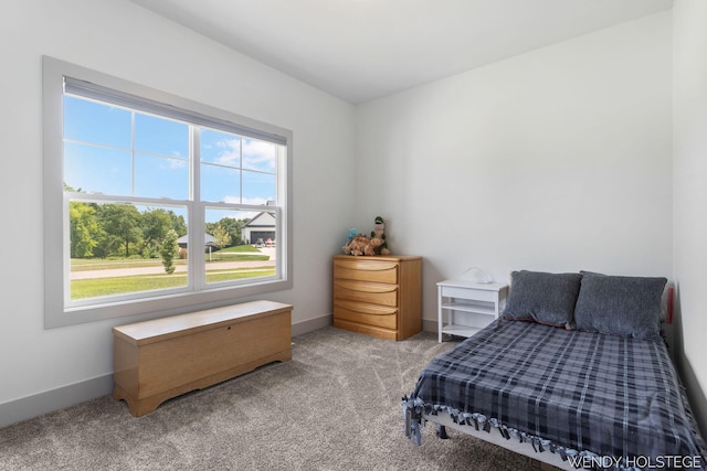 12713 Ridgedale Dr, Allendale, MI 49401 - photo 30