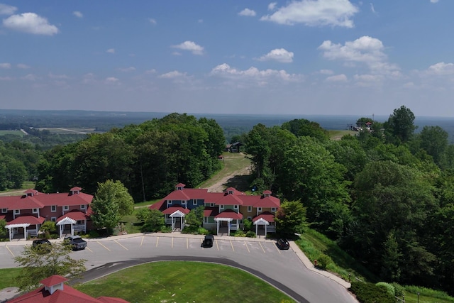 12069 Mountain Top Cir Unit 704, Thompsonville, MI 49683 - photo 36