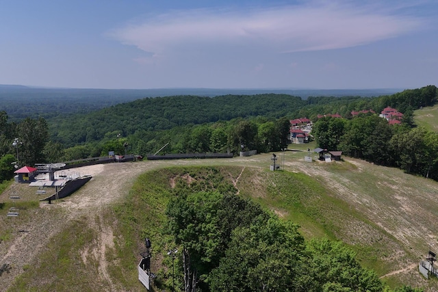 12069 Mountain Top Cir Unit 704, Thompsonville, MI 49683 - photo 37