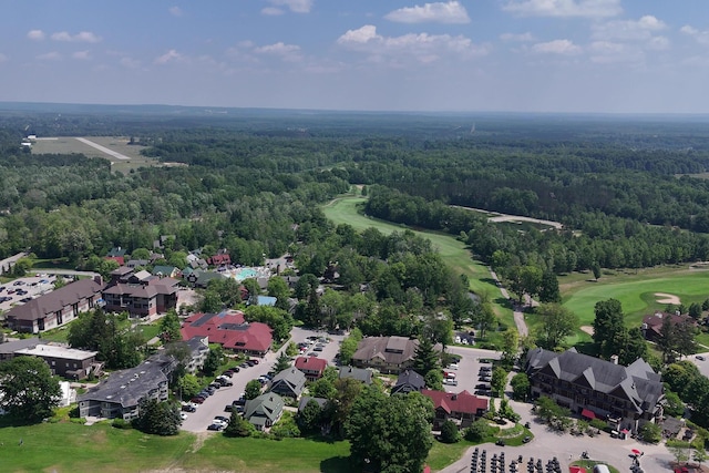 12069 Mountain Top Cir Unit 704, Thompsonville, MI 49683 - photo 38