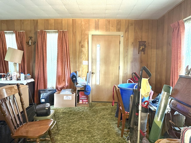 1018 Kenwood Ave, Belding, MI 48809 - photo 14