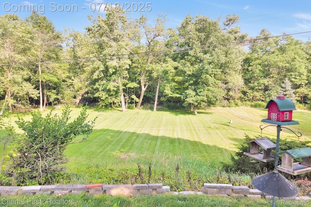 16042 Alpine Dr, Livonia, MI 48154 - photo 26