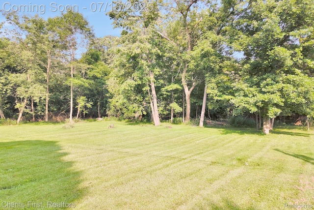 16042 Alpine Dr, Livonia, MI 48154 - photo 28