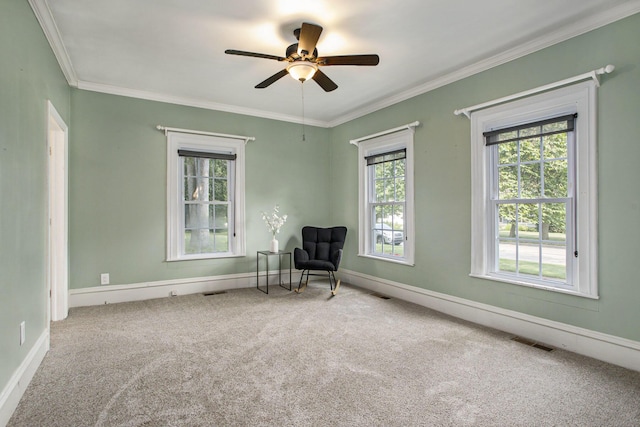 433 W Bridge St, Plainwell, MI 49080 - photo 9