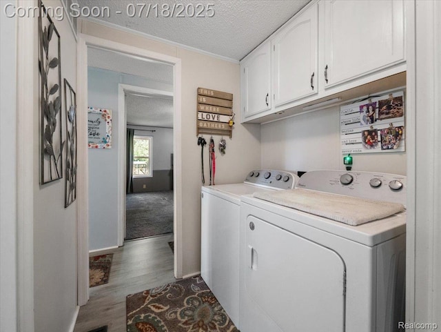 8353 Mason Rd, Fowlerville, MI 48836 - photo 12