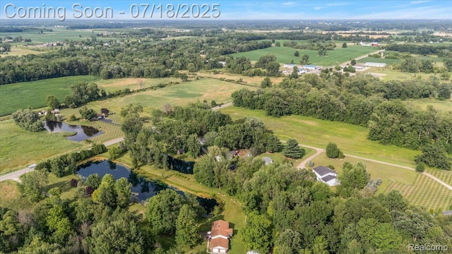 8353 Mason Rd, Fowlerville, MI 48836 - photo 38
