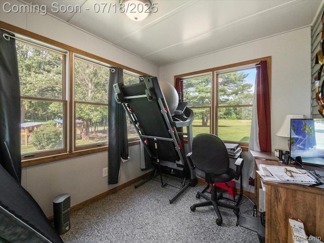 8353 Mason Rd, Fowlerville, MI 48836 - photo 16