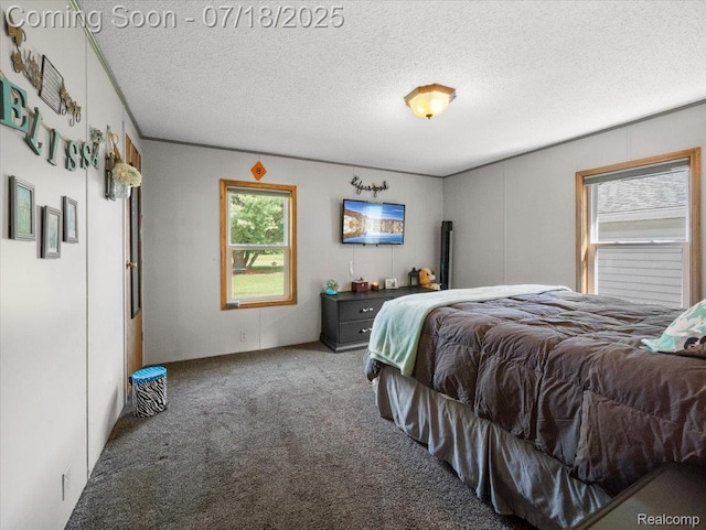 8353 Mason Rd, Fowlerville, MI 48836 - photo 25