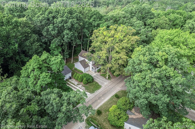 5802 Fernlands Ave, Hamburg, MI 48139 - photo 25