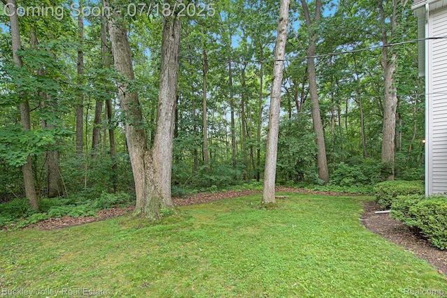5802 Fernlands Ave, Hamburg, MI 48139 - photo 19