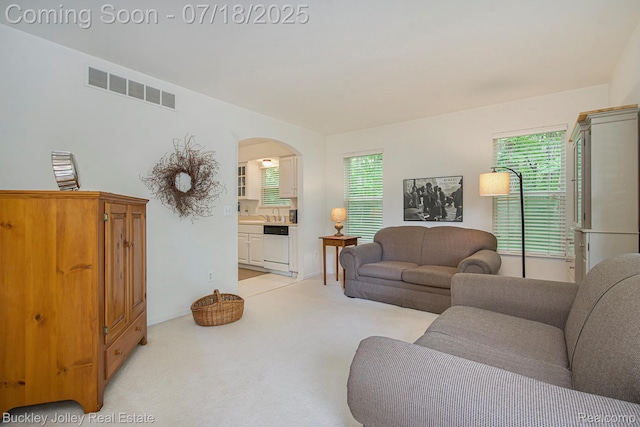 5802 Fernlands Ave, Hamburg, MI 48139 - photo 14