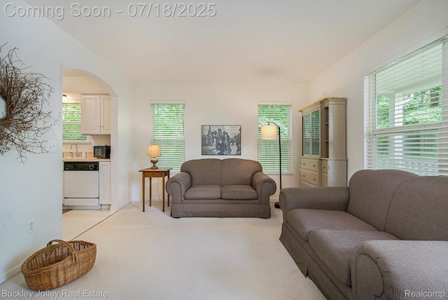 5802 Fernlands Ave, Hamburg, MI 48139 - photo 5