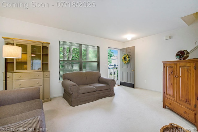 5802 Fernlands Ave, Hamburg, MI 48139 - photo 13