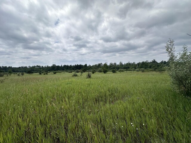 0 S M-88, Bellaire, MI 49615 - photo 3