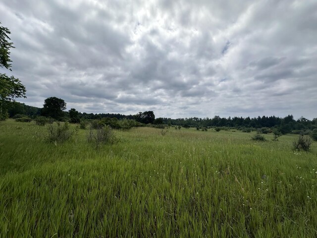 0 S M-88, Bellaire, MI 49615 - photo 5