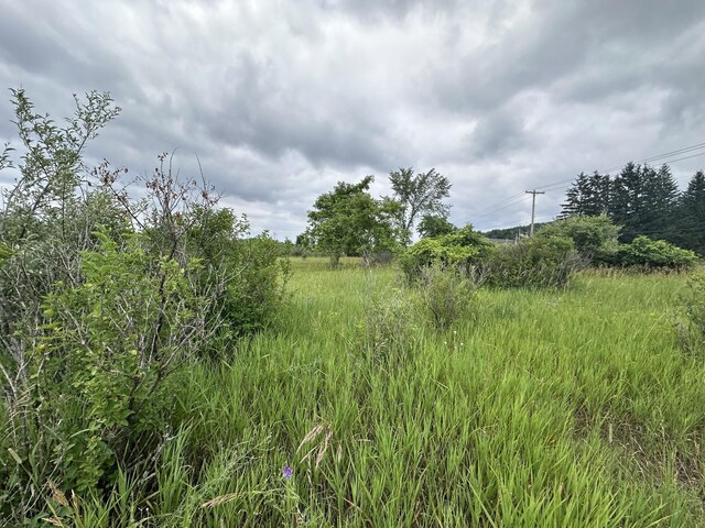 0 S M-88, Bellaire, MI 49615 - photo 6