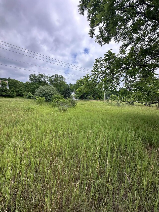 0 S M-88, Bellaire, MI 49615 - photo 7