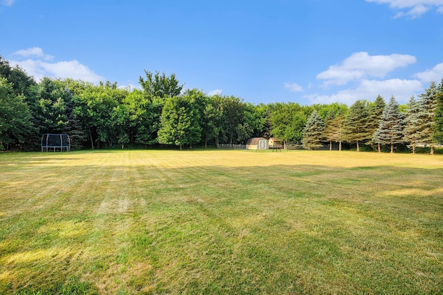 26033 48th Ave, Mattawan, MI 49071 - photo 19