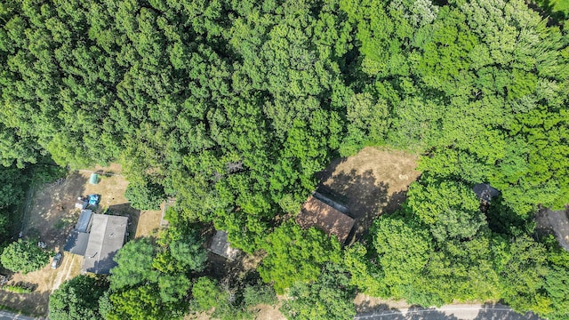 2635 138th Ave, Dorr, MI 49323 - photo 30