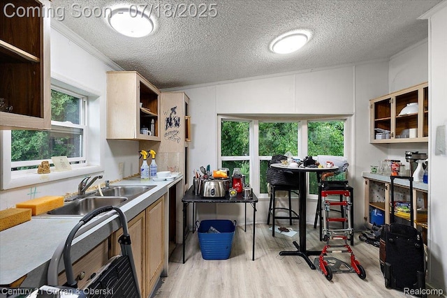 20795 Orchard Lake Rd, Farmington Hills, MI 48336 - photo 18