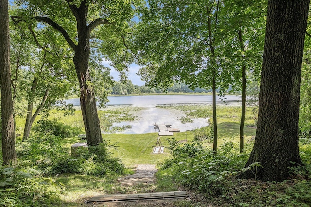 106 Chapin Lake Trl, Marshall, MI 49068 - photo 27