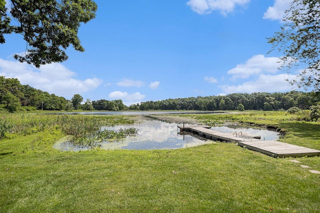 106 Chapin Lake Trl, Marshall, MI 49068 - photo 28