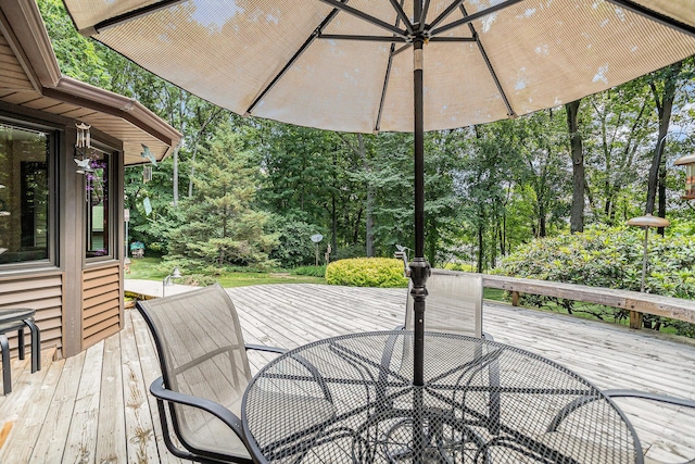 106 Chapin Lake Trl, Marshall, MI 49068 - photo 29