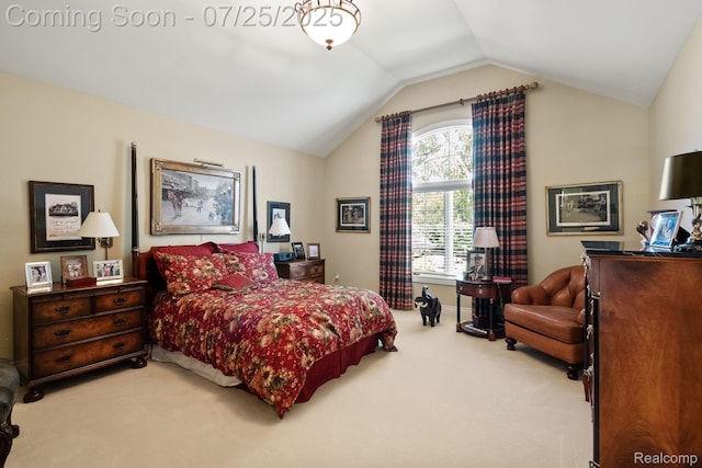 23737 Point O Woods Ct, South Lyon, MI 48178 - photo 21