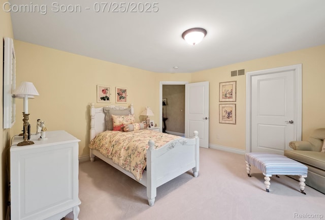 23737 Point O Woods Ct, South Lyon, MI 48178 - photo 30