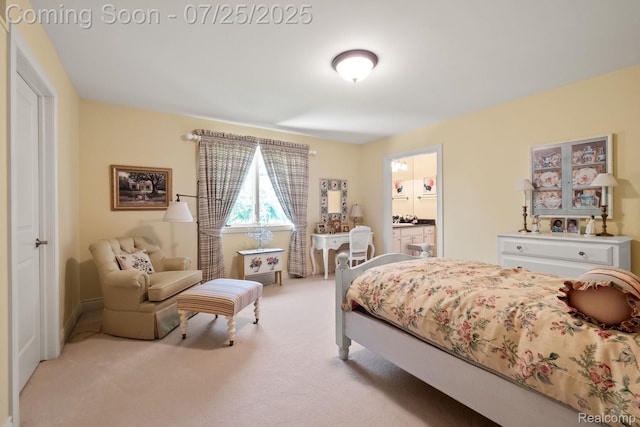23737 Point O Woods Ct, South Lyon, MI 48178 - photo 29