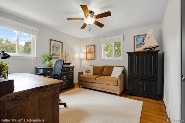34919 Grove Dr, Livonia, MI 48154 - photo 22