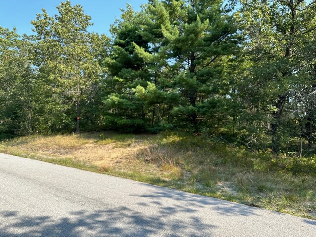 Wintergreen, East Tawas, MI 48730 - photo 2