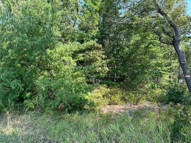 Wintergreen, East Tawas, MI 48730 - photo 3