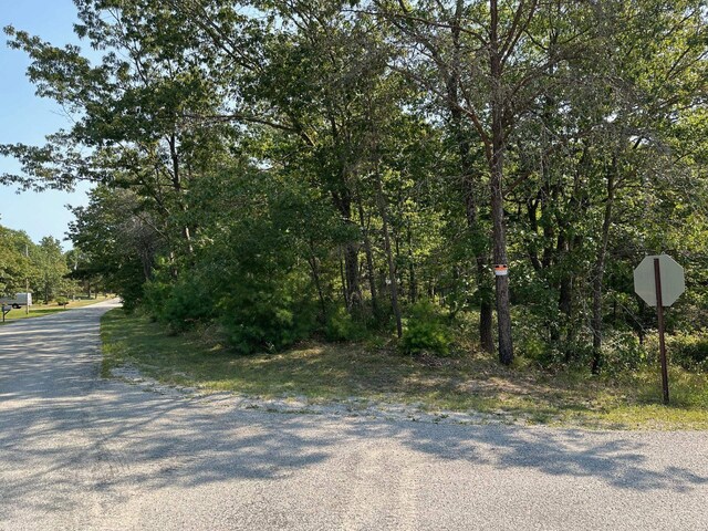 Wintergreen, East Tawas, MI 48730 - photo 6