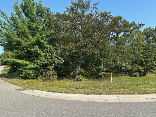 Wintergreen, East Tawas, MI 48730 - photo 1