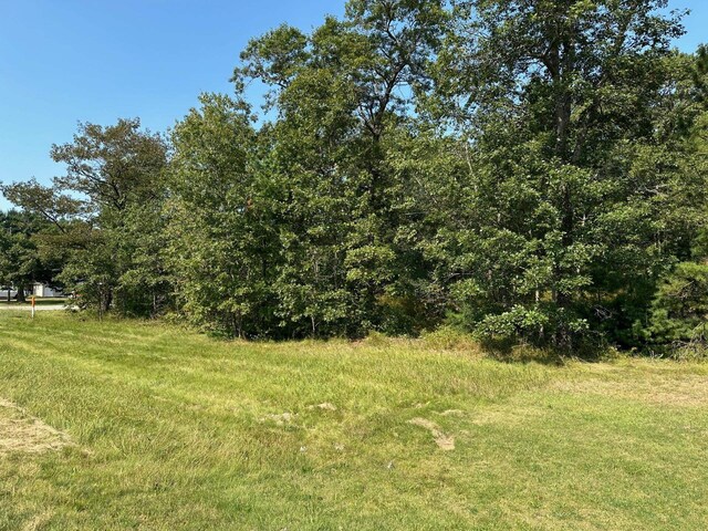 Wintergreen, East Tawas, MI 48730 - photo 5