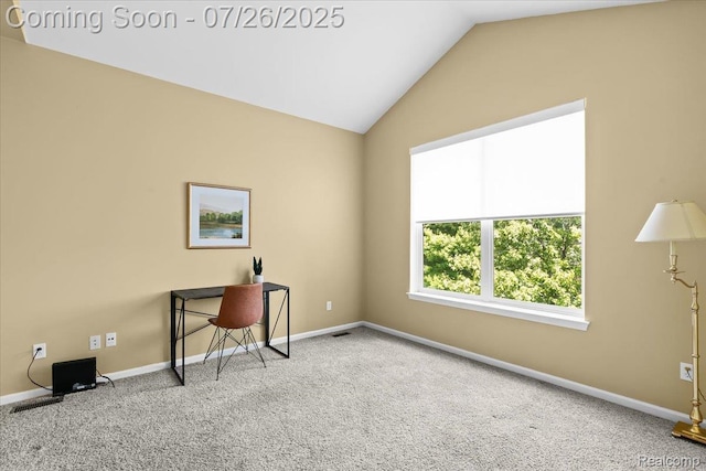 16962 Algonquin Dr, Northville, MI 48168 - photo 16