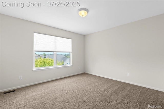 16962 Algonquin Dr, Northville, MI 48168 - photo 32