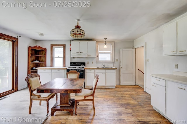 7271 Wiegand Blvd, Center Line, MI 48015 - photo 9