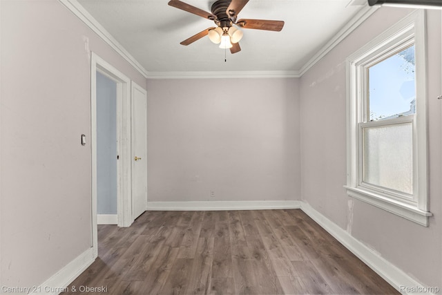 11695 Inkster Rd, Livonia, MI 48150 - photo 12
