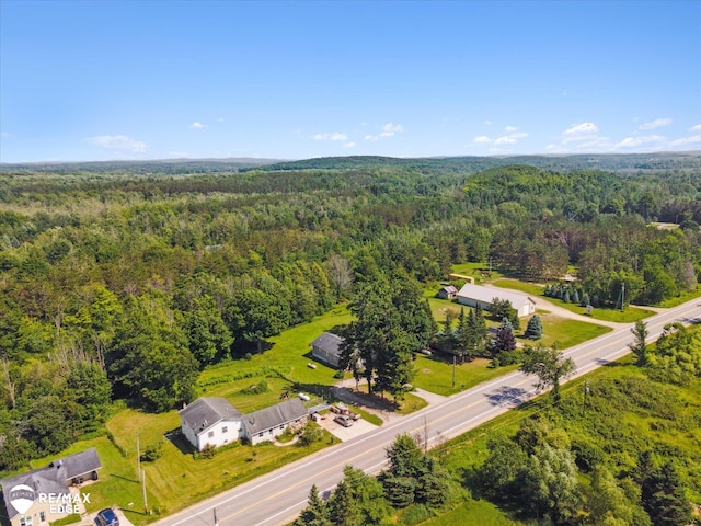 1252 Marion Center Rd, Charlevoix, MI 49720 - photo 53